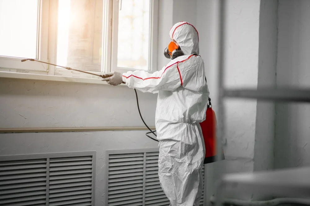 Professional mold remediation services in Birnamwood, WI